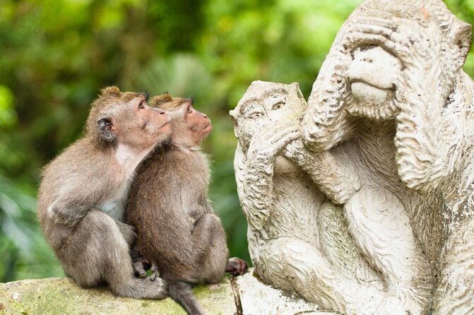 Private tour in Ubud country side - Key points to know before booking