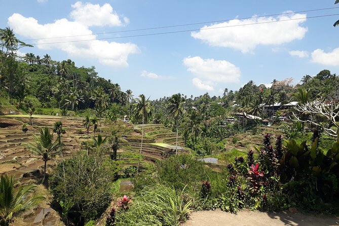 Private tour in Ubud country side - Leaving Kuta at 8:00 a.m.