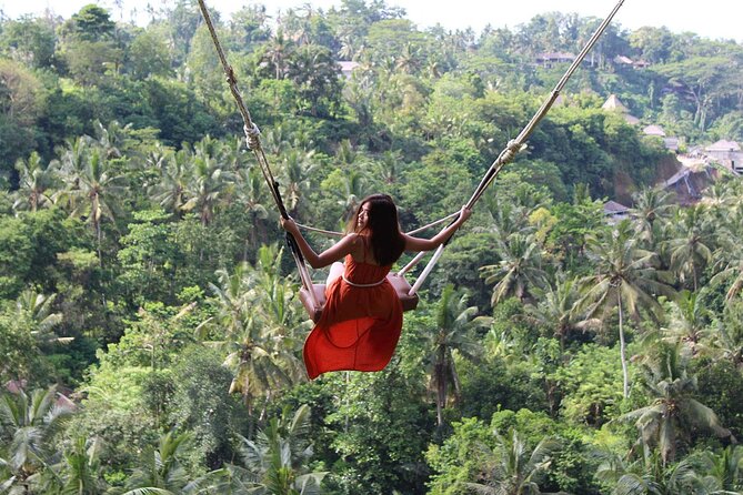 Private Tour : Individual costumize route with FREE - WIFI - Tegalalang Rice Terrace, Bali’s classic inland view