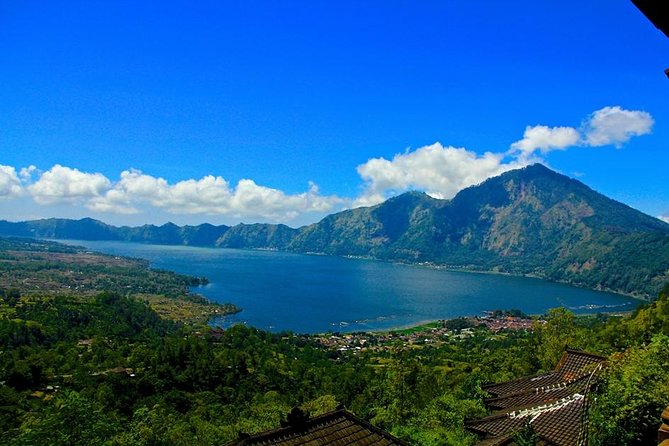 Private Tour : Mt. Batur View, Rice Terrace, Waterfall & More. - Tegalalang Rice Terrace and working farmland