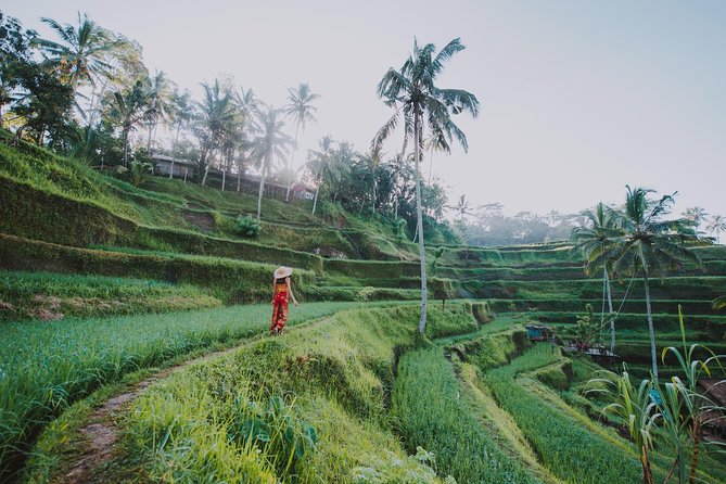 Private Tour: Ubud Highlights - Tirta Empul and the meaning of Balinese temple water