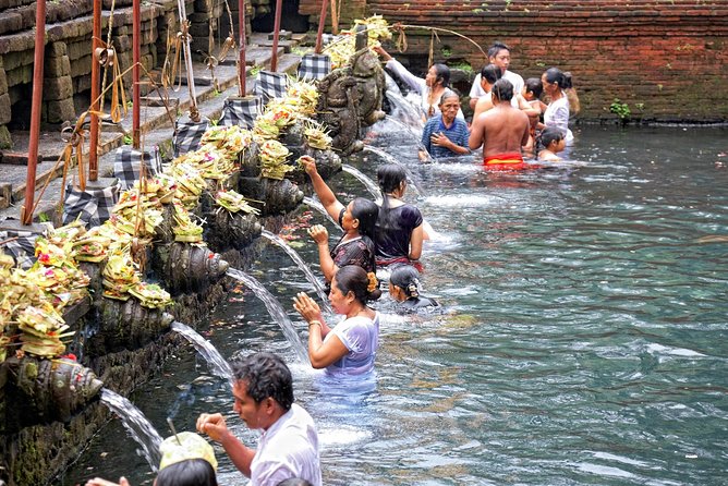 Private Tour: Ubud Highlights - Cooling off at Tegenungan Waterfall