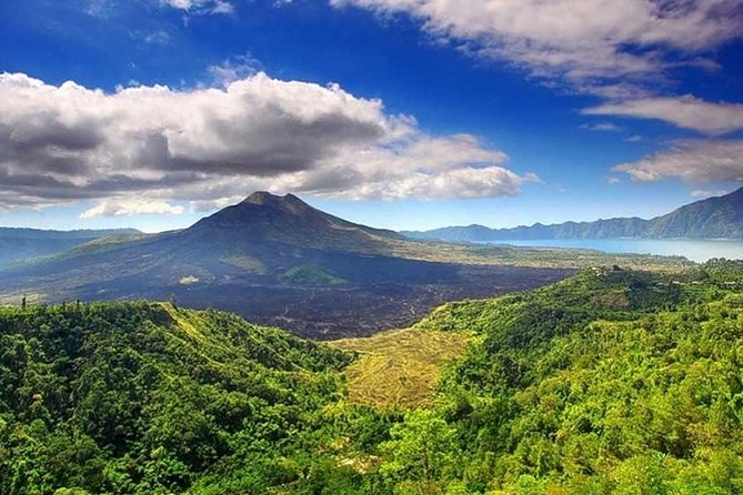 Private Tour - Ubud Kintamani Tours - What this private Ubud and Kintamani day really offers
