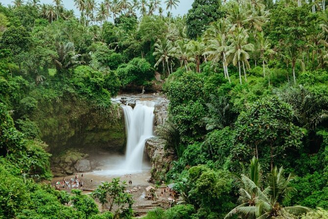 Private Ubud Day Tour Waterfalls Sacred Monkeys and Rice Fields - Walking through Sacred Monkey Forest