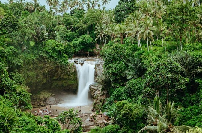 Private Ubud Day Tour Waterfalls Sacred Monkeys and Rice Fields - How the transport and timing affect your day