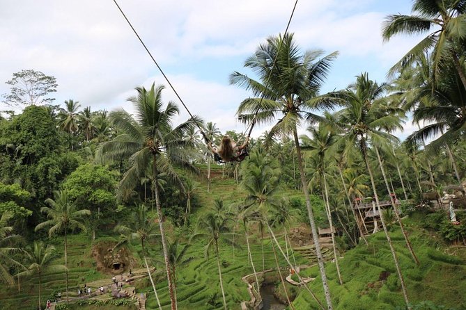 Private Ubud Tour Package - A long but useful introduction to Ubud