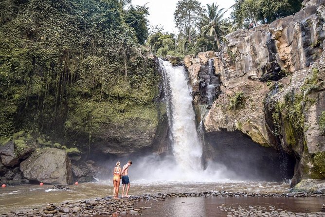 Private UBUD Tour - Monkey Forest: a lively stop with practical limits