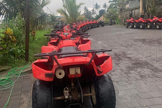 Quadbike Adventure with Tunnel and Waterfall Tour in Bali - Should you book it?