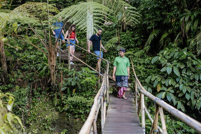 Quick Access: The Bali Instagram Small Group Tour - Tegalalang Rice Terraces and the photo-stop question