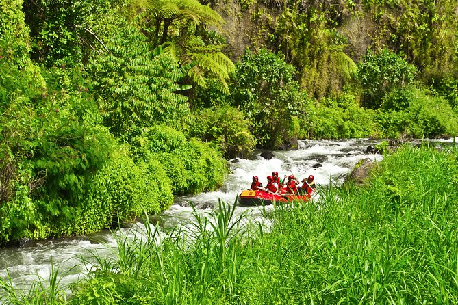 Rafting Adventure 18 km and Balinese Village Life Tour with Lunch - Waterfalls, wildlife, and the quieter stretches