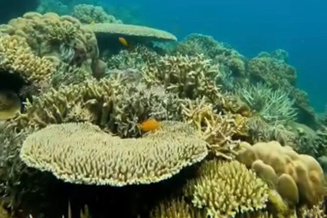 Rangko Cave & Beach Snorkeling Half Day Sharing Trip Labuan Bajo - Timing, departures, and how the route may feel