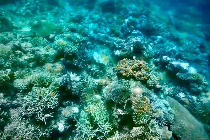 Rangko Cave & Beach Snorkeling Half Day Sharing Trip Labuan Bajo - What the $48 price buys you