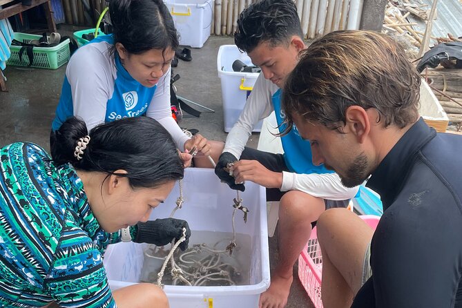 Reef Rehabilitation Course and Snorkeling - Turning a snorkeling trip into reef work