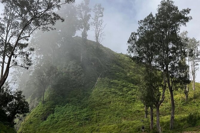 Rinjani Summit 2 days 1 night - Crater-rim camping and a short night