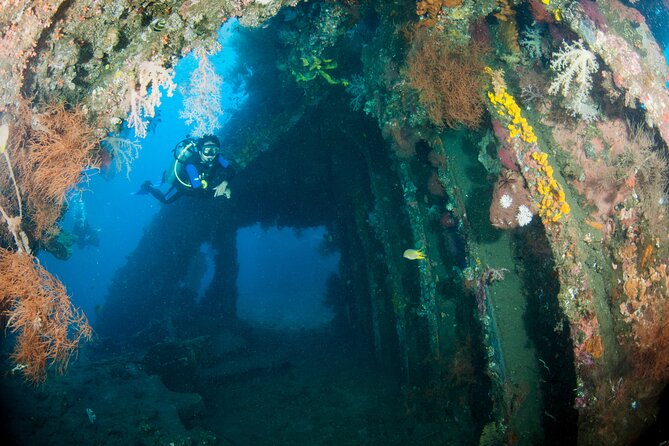 Sanur Open Water Course learn diving in 3 Days - Get certified & Dive everywhere - Who will get the most from this course