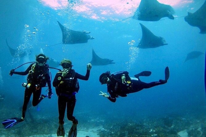 Sanur Open Water Course learn diving in 3 Days - Get certified & Dive everywhere - Day one: pool training in Sanur