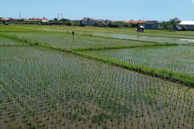Sanur Village E-bike Tour: Family-Friendly Adventure - A traditional market with everyday Bali in view