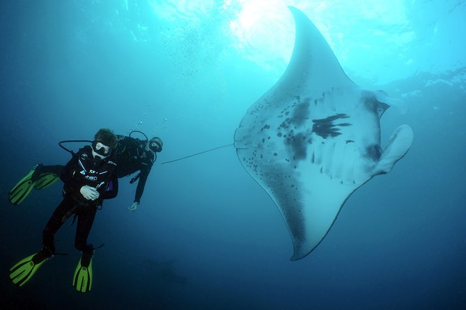 Scuba Diving Nusa Penida Manta Point 3 dives for certified divers - A full morning from hotel pickup to the boat