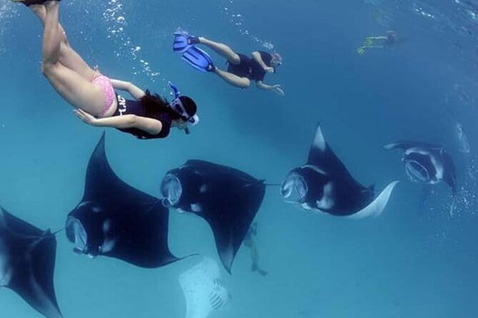Seaweed Farming Activity and Sightseeing at Diamond Beach - Who should book this Nusa Penida experience