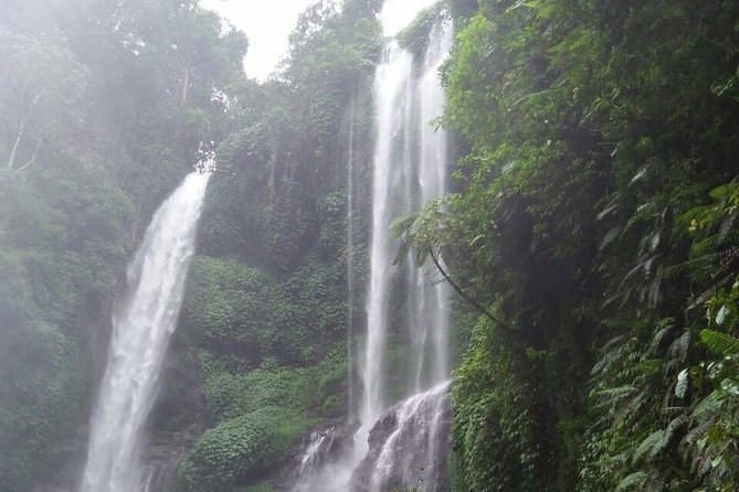 Sekumpul waterfall & aling2 waterfall with private service (including activity) - Aling-Aling: the active start to the day
