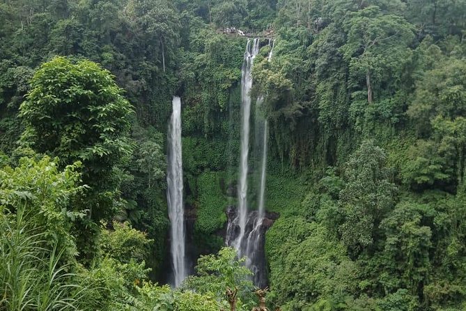 Sekumpul waterfall & aling2 waterfall with private service (including activity) - Practical advice for the day