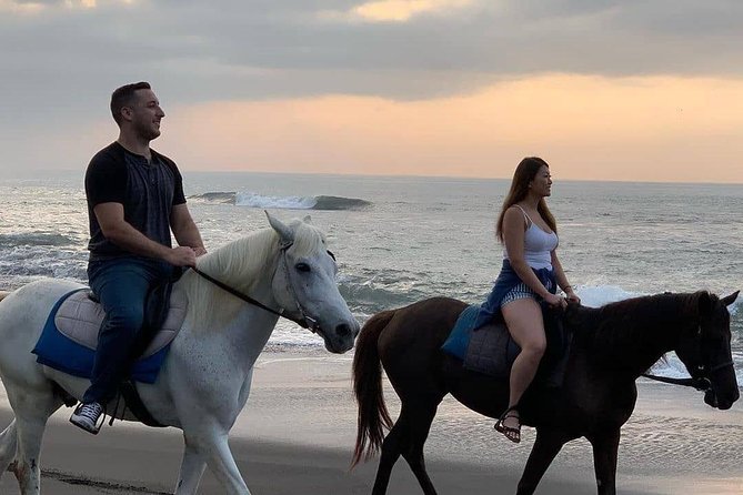 Seminyak Beach Bali Horse Riding - Beginner-friendly, but not ideal for every rider