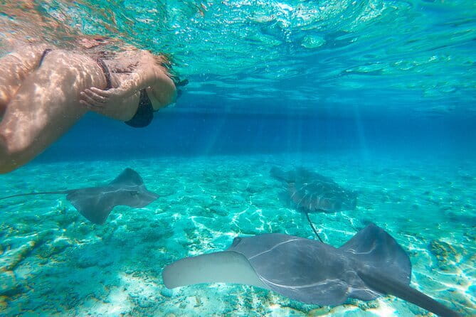 Shared Trip Sailing Komodo 3D2N - Food, cabins, and life aboard the phinisi