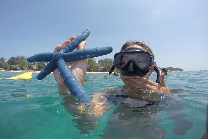 Sharing Snorkeling Trip Gili islands Depart Lombok/Gili Trawangan - How the $20 price compares with the experience