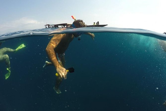Sharing Snorkeling Trip Gili islands Depart Lombok/Gili Trawangan - First stop: coral around Gili Meno