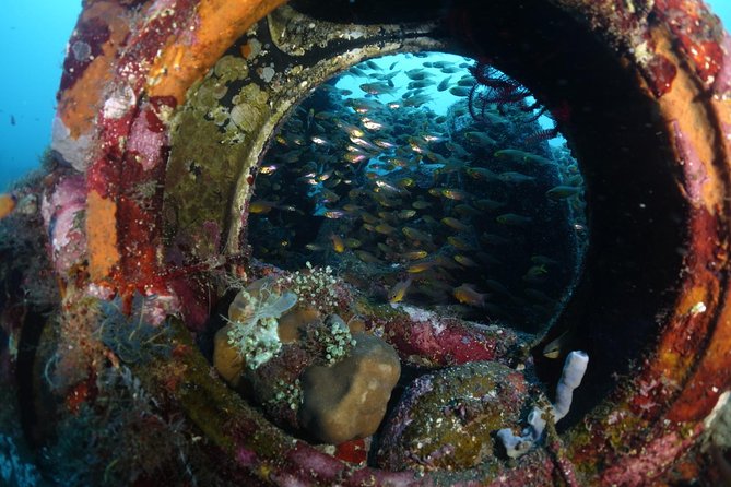Shipwreck Diving in Tulamben - Key Points Before You Book