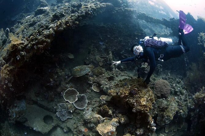 Shipwreck Diving in Tulamben - What the Two Underwater Sessions Are Like