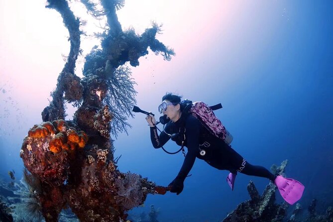 Shipwreck Diving in Tulamben - Practical Details That Can Make the Day Easier