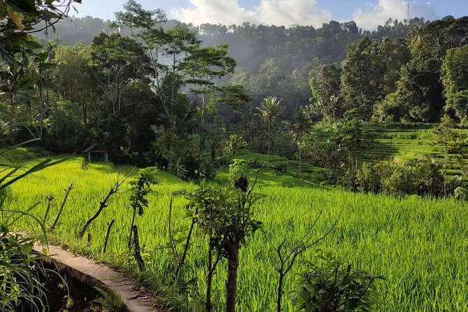 Sidemen Trekking: A Walk from a Different Perspective - Crossing the wooden bridge and viewing Mount Agung