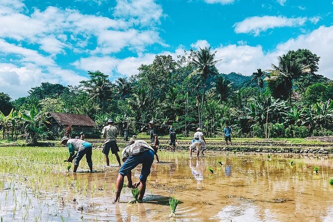 Sidemen Trekking: A Walk from a Different Perspective - How difficult is the two-hour trek?