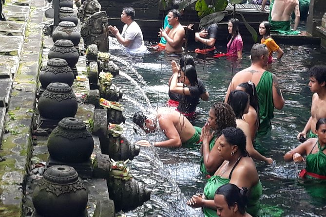 Skip the Line Tirta Empul Temple Entrance Ticket All Inclusive - The ritual at the holy springs