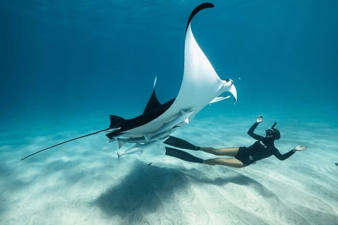 Snorkeling 3 Spots with GoPro & West Coast Tour Nusa Penida - Key points to know before booking