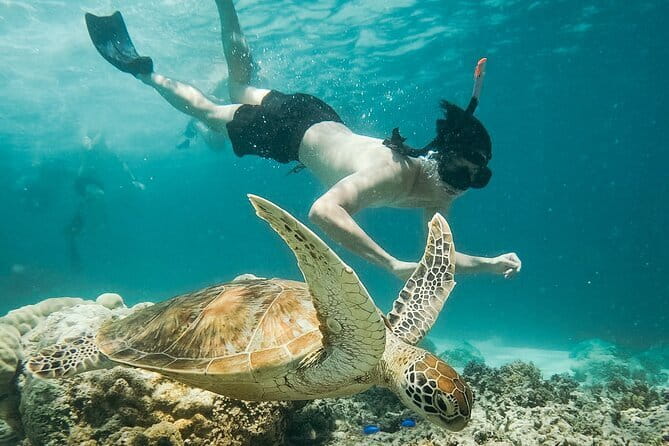 Snorkeling 3 Spots with GoPro & West Coast Tour Nusa Penida - Why this Nusa Penida day works so well
