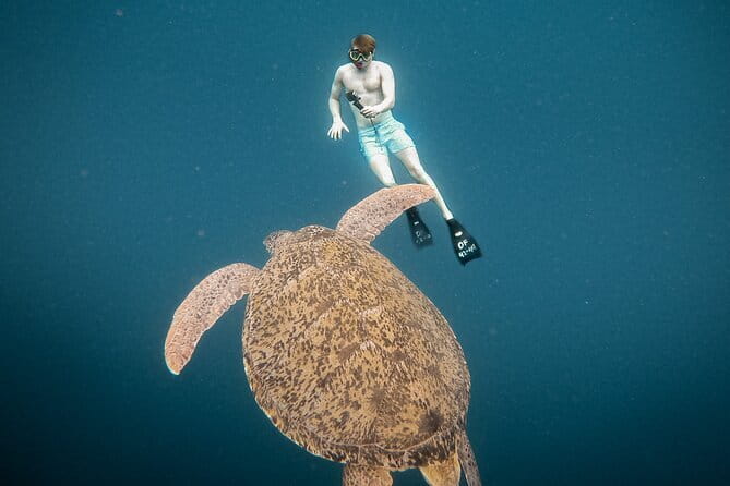 Snorkeling 3 Spots with GoPro & West Coast Tour Nusa Penida - Manta Bay and the reality of open water