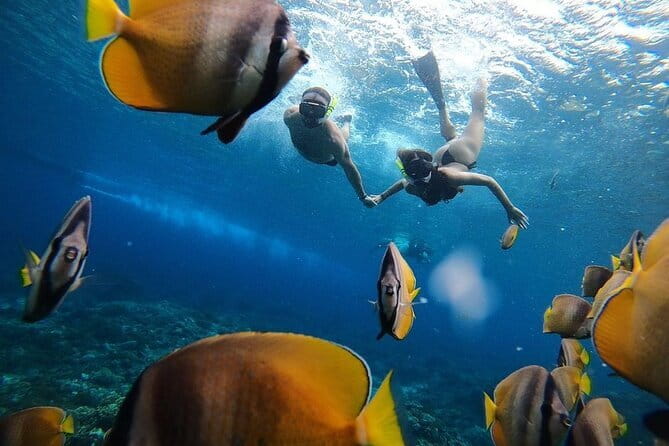 Snorkeling 3 Spots with GoPro & West Coast Tour Nusa Penida - Kelingking Beach and the famous T-Rex profile