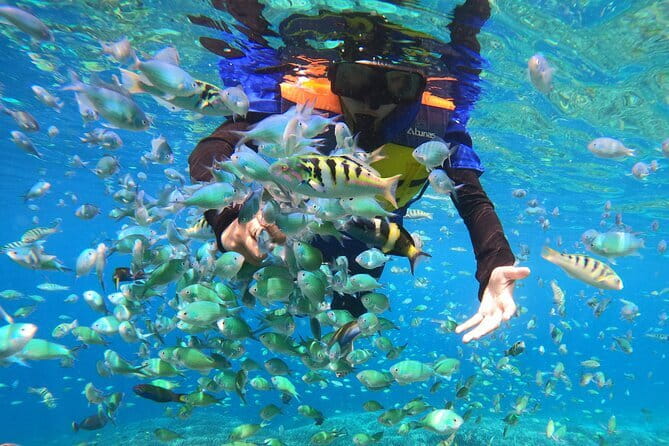Snorkeling 3 Spots with GoPro & West Coast Tour Nusa Penida - The role of the guides and driver