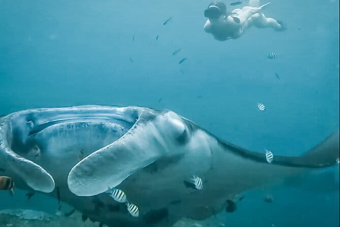 Snorkeling 3 Spots with GoPro & West Coast Tour Nusa Penida - Meeting the boat at Toya Pakeh