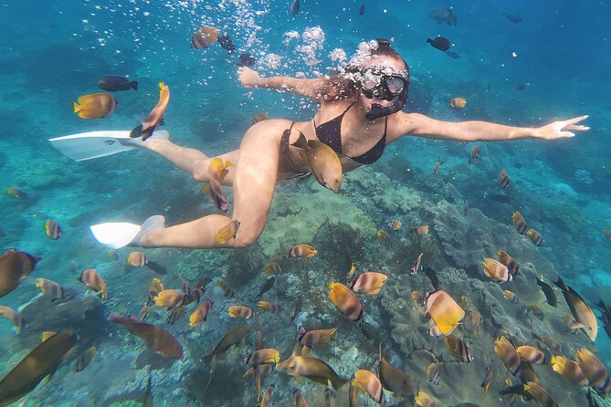 Snorkeling 4 Spot With Manta Bay Or Optional Land Trip - Manta Bay puts the big hope first