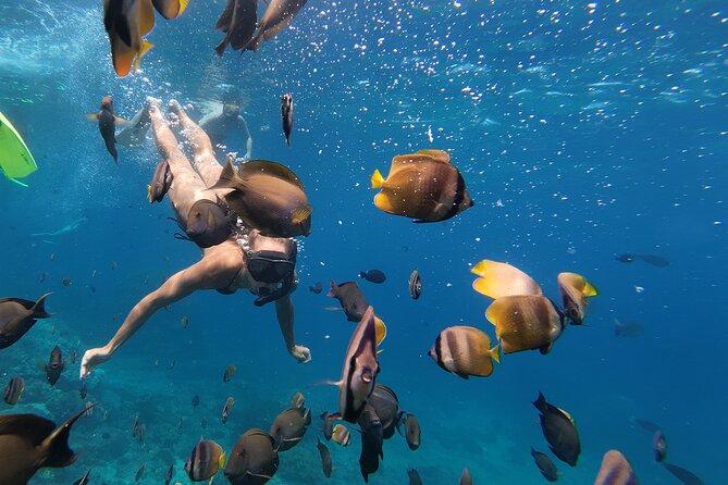 Snorkeling 4 Spot With Manta Bay Or Optional Land Trip - Crystal Bay offers a calmer final stop