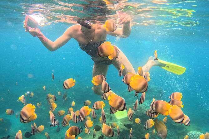 Snorkeling 4 Spot With Manta Bay Or Optional Land Trip - Friendly staff and basic safety support
