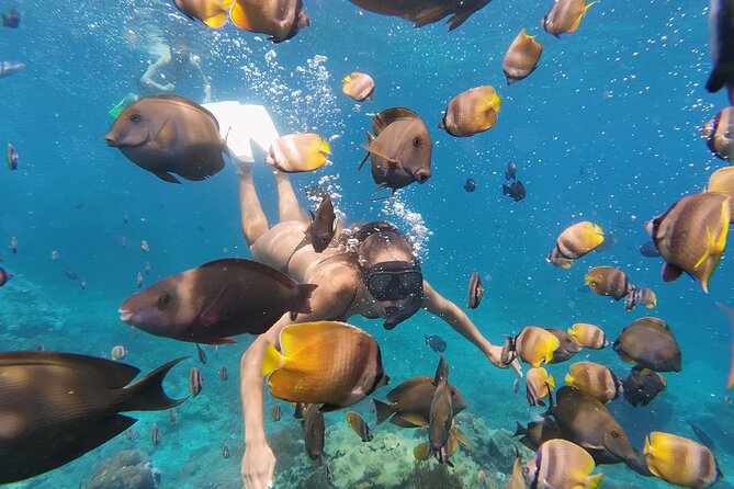 Snorkeling 4 Spot With Manta Bay Or Optional Land Trip - Choosing between Nusa Penida and Sanur access