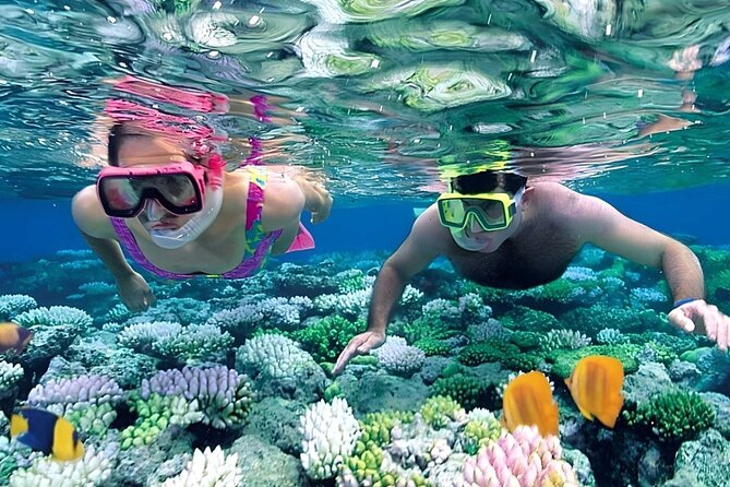 Snorkeling 4 Spot With Manta Bay Or Optional Land Trip - Gamat Bay adds reef scenery