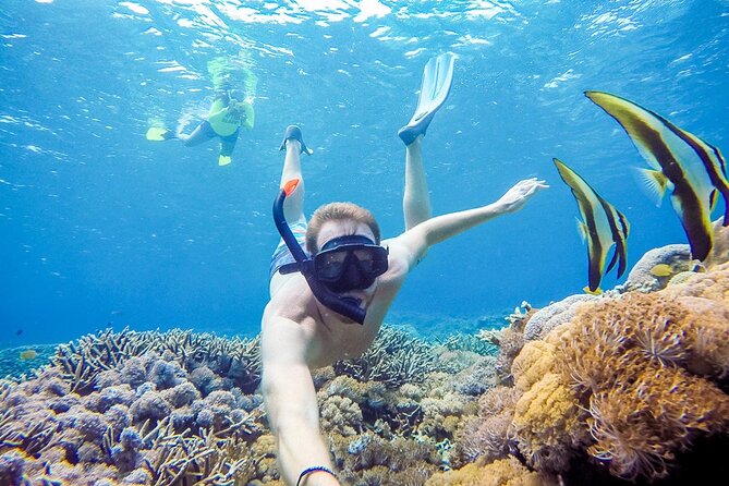 Snorkeling adventure to the manta ray habitat in Nusa Penida - Why Manta Point is the reason to book