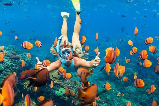 Snorkeling adventure to the manta ray habitat in Nusa Penida - Photos, safety, and the wild-animal factor