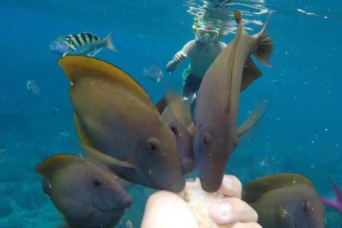 Snorkeling Adventure with East Nusa Penida Tour All Inclusive - The five-hour Nusa Penida portion
