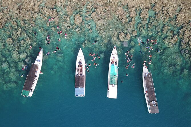 Snorkeling and Island Hopping Tour in Karimunjawa (sharing tour) - Key points to know before booking